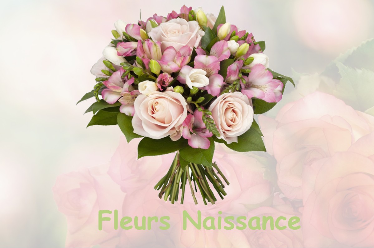 fleurs naissance AULNAY-LA-RIVIERE