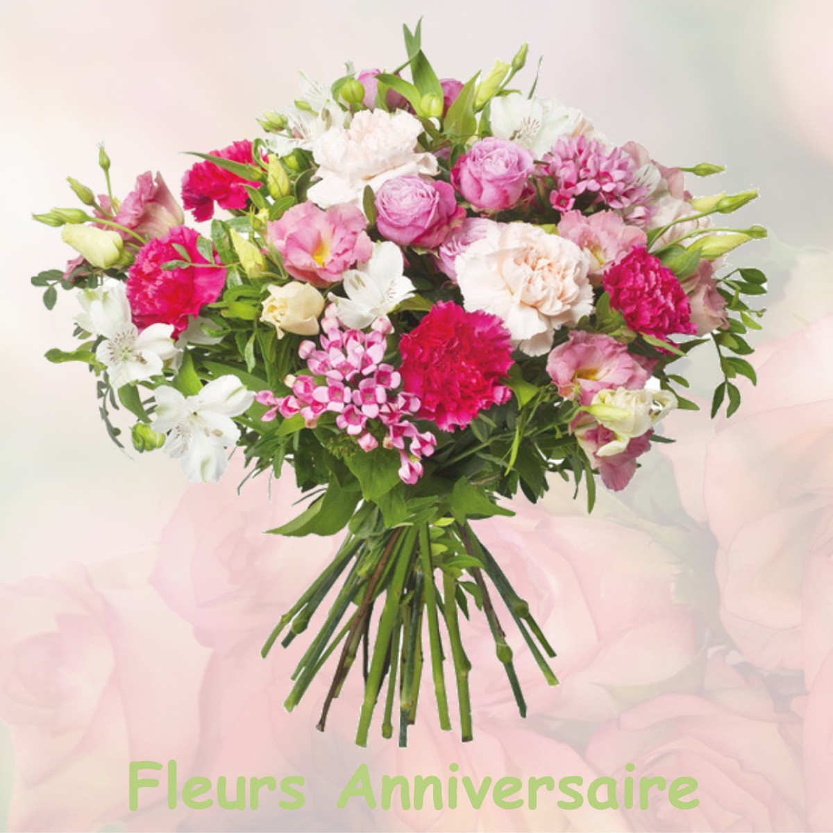 fleurs anniversaire AULNAY-LA-RIVIERE