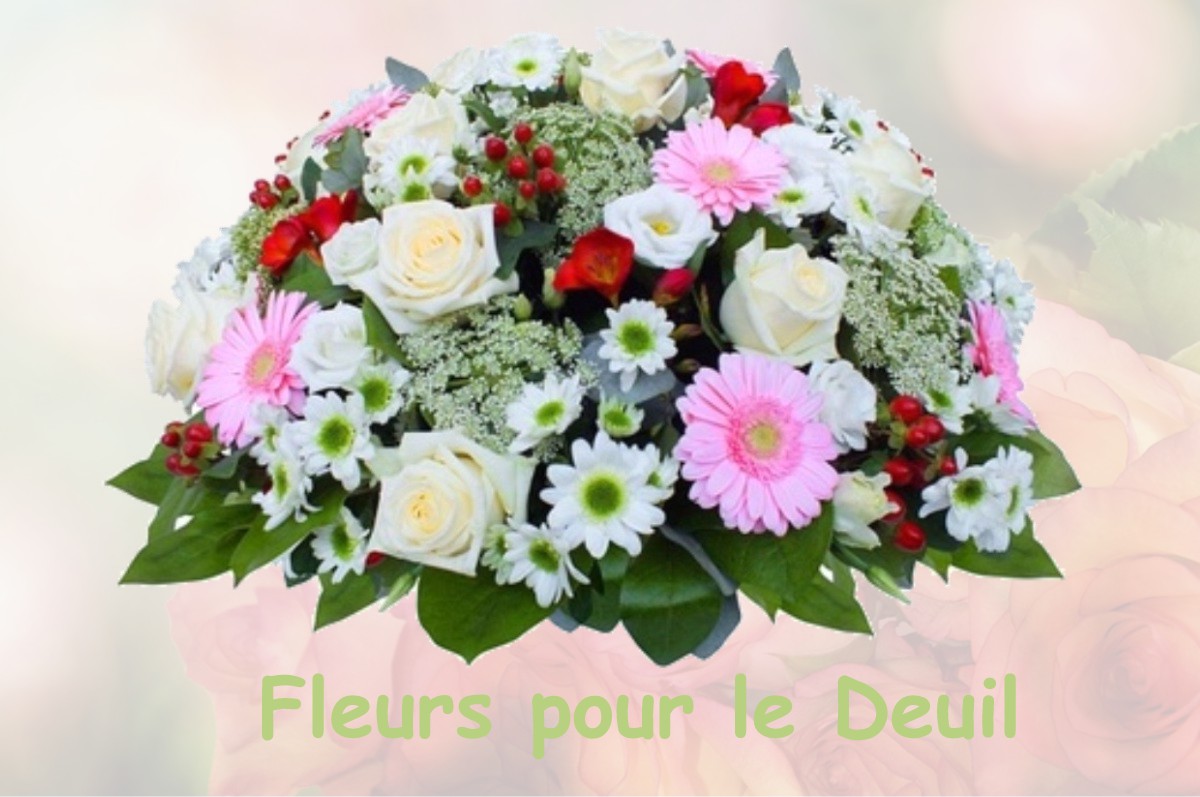 fleurs deuil AULNAY-LA-RIVIERE
