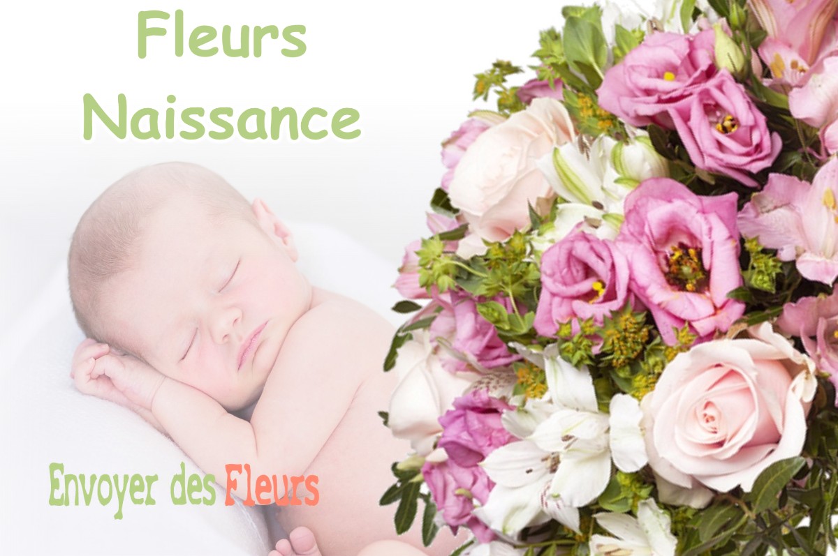 lIVRAISON FLEURS NAISSANCE à AULNAY-LA-RIVIERE